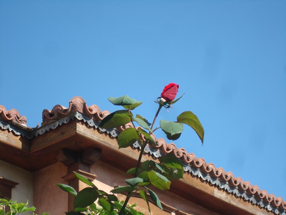 Oikia Alexandrou Traditional Inn Arnaía Exteriér fotografie
