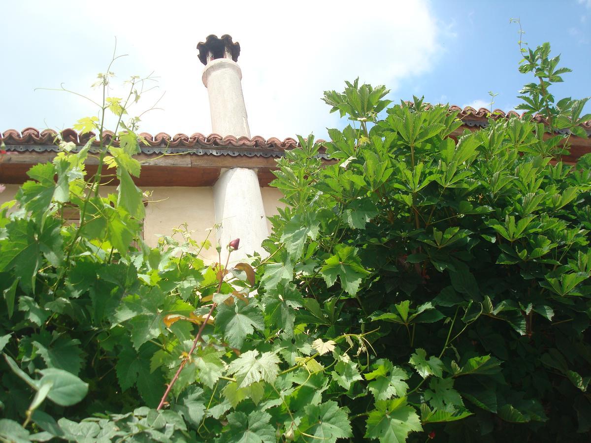 Oikia Alexandrou Traditional Inn Arnaía Exteriér fotografie