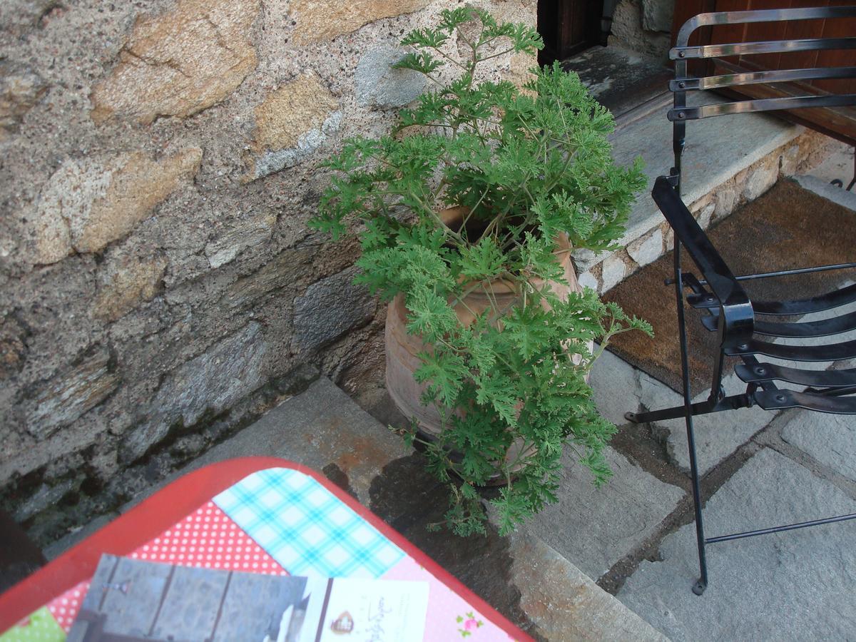 Oikia Alexandrou Traditional Inn Arnaía Exteriér fotografie